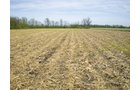 Property photo 5 - 160 Acres in 4 Tracts - Building Potential and Cropland
